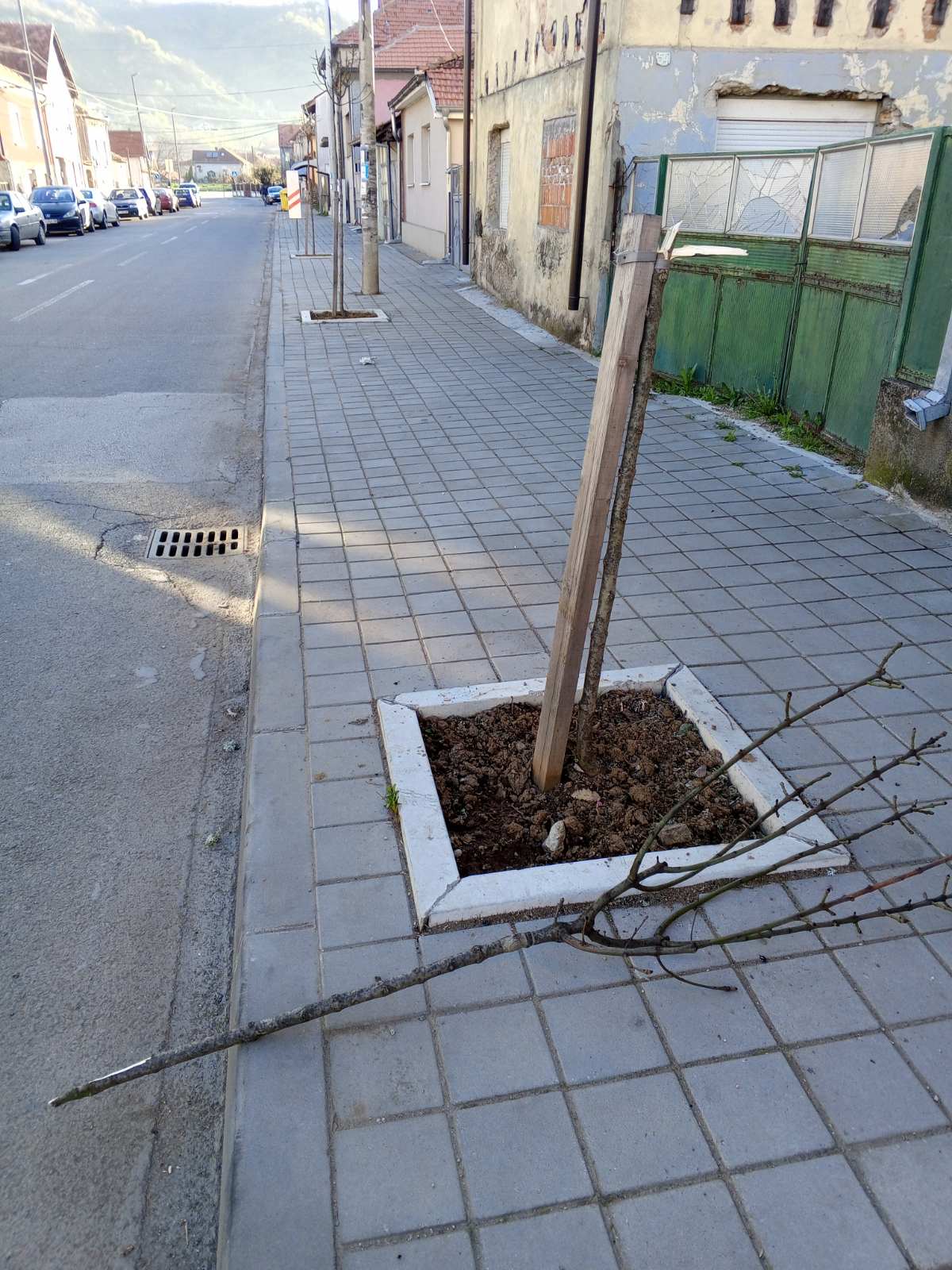 eko problem